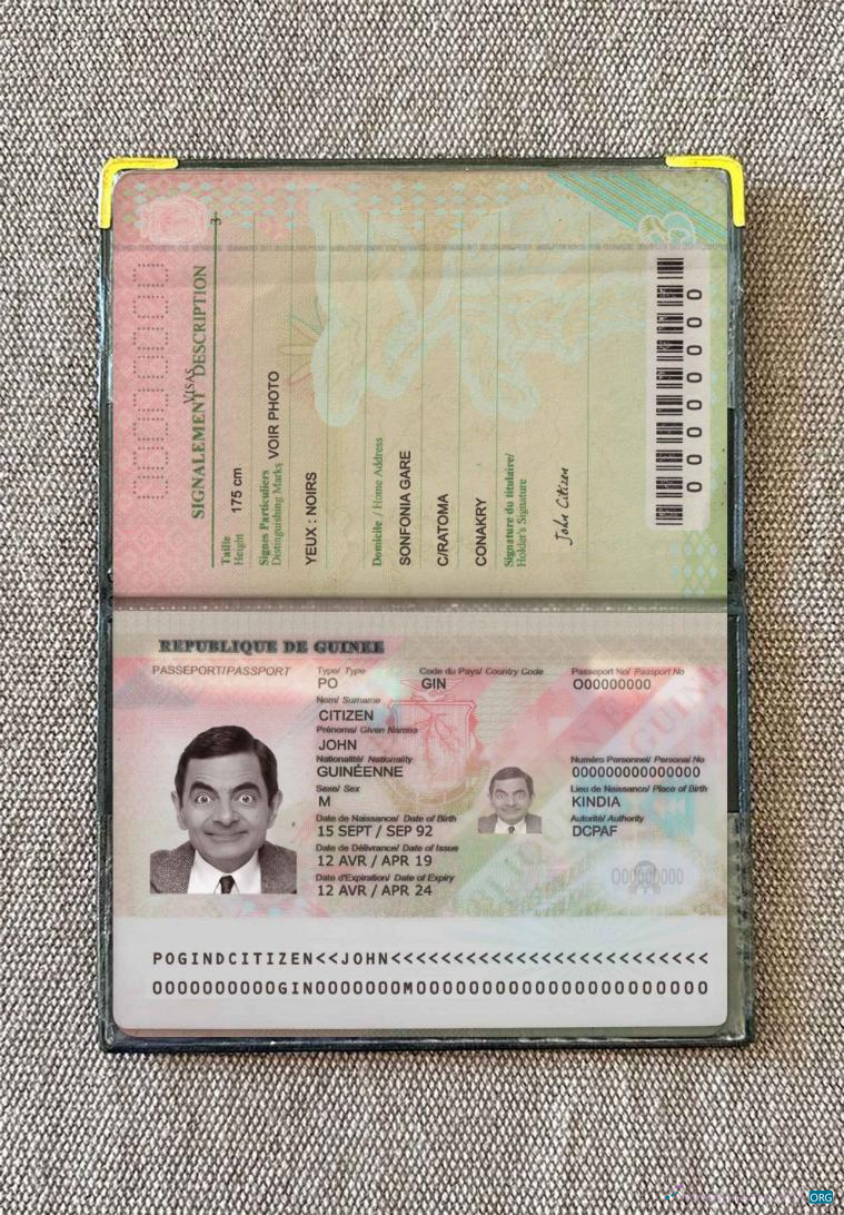 Download Guinea passport (2018 present) photo look Photoshop template